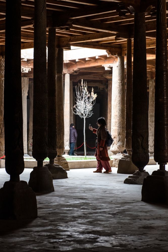 Photograph by Евгений Моляшов