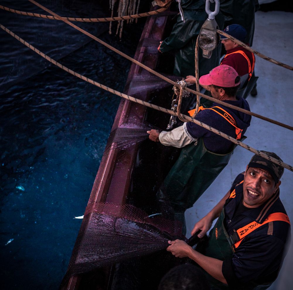 Photograph by Panagiotis Rodos