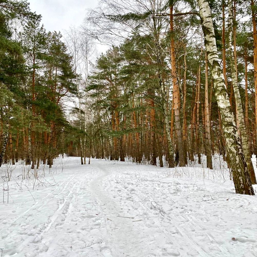 Фотография автора Илья