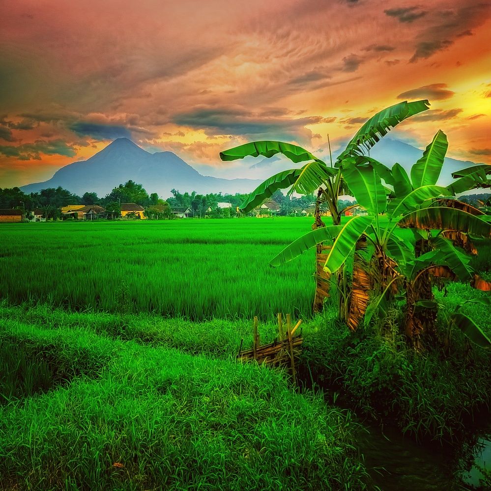 Photograph by Indonesia