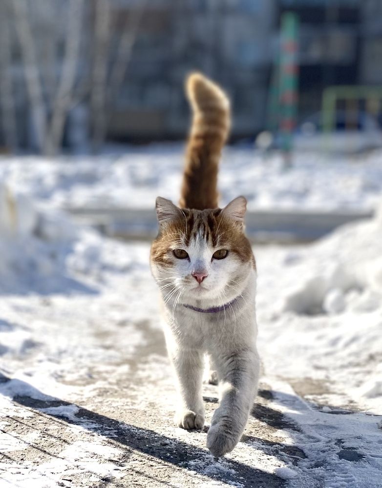 Photograph by Олег Волков