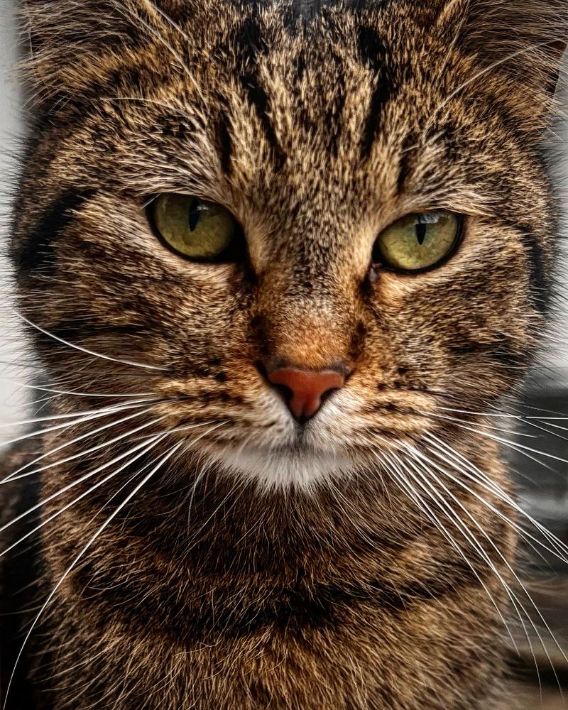 «Привокзальный романтик».