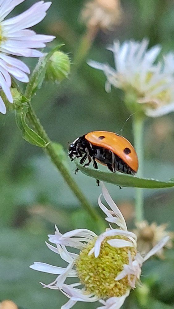 Photograph by Svitlana Usatenko