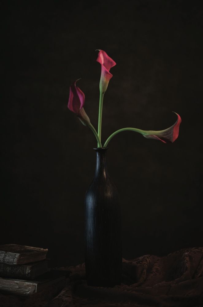 Photograph by Meliha Suskavcevic