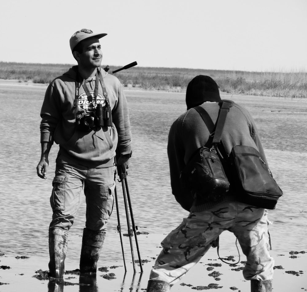 Photograph by mahboube moradalizade