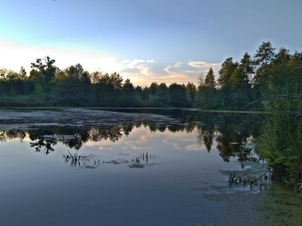 Photograph by Александр Бровкин