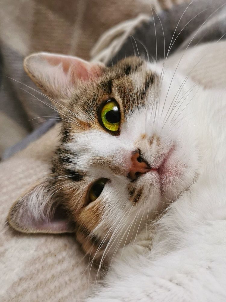 Photograph by Любовь Колмакова