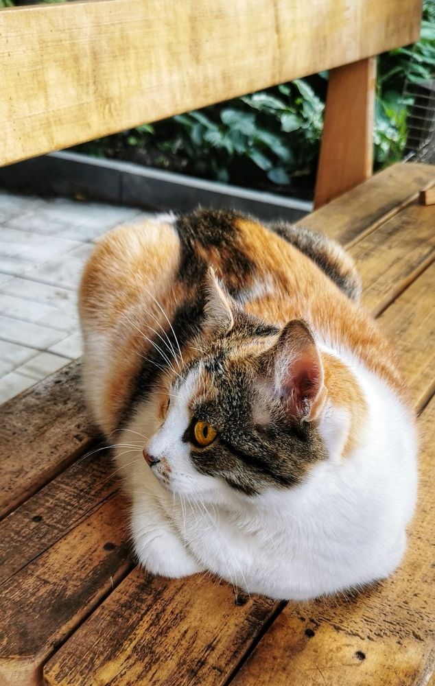 Photograph by Любовь Колмакова