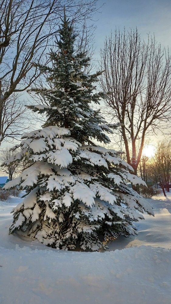 Photograph by ЭЛЬМИРА  ИСМАИЛОВА