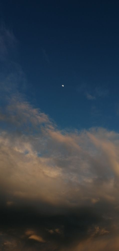 Photograph by Rehab Mohamed Ibrahim