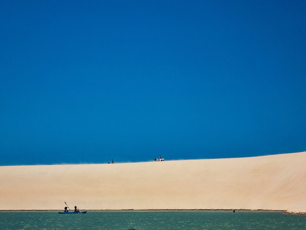 Photo #8779393