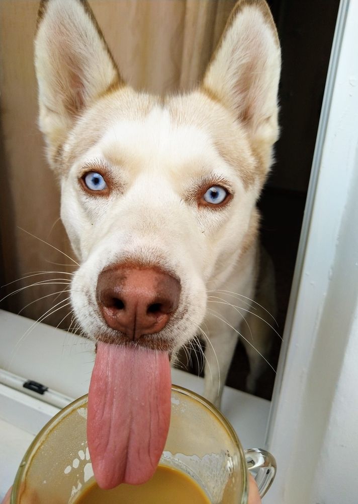 Photograph by Ольга Рогозина