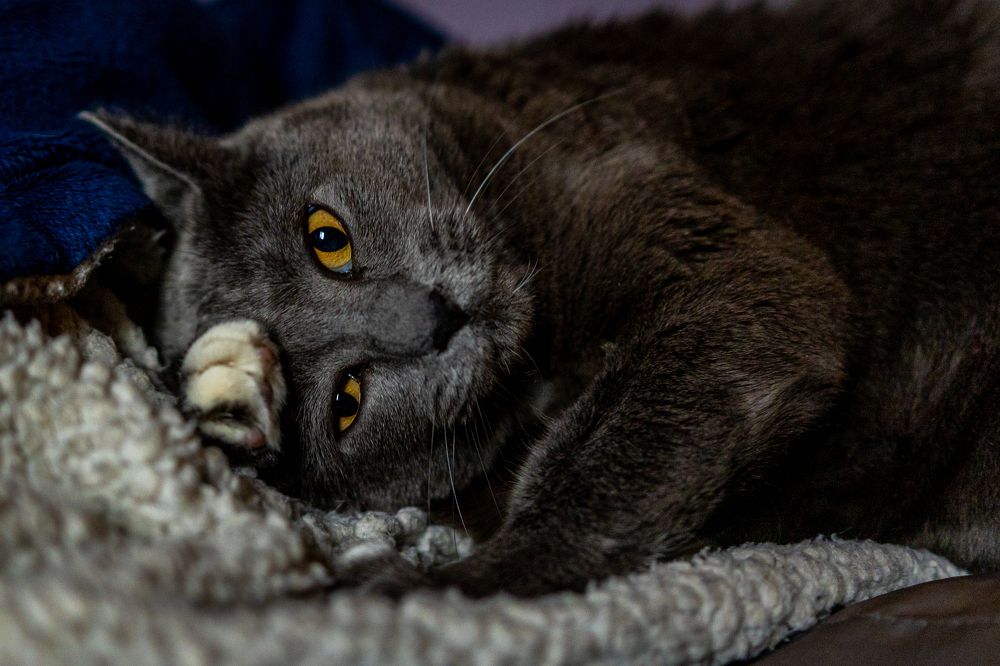 Фотография автора Angela Miller