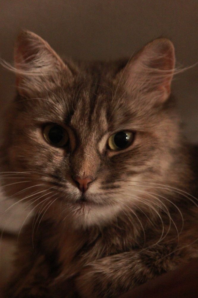 Photograph by Марина Душевина