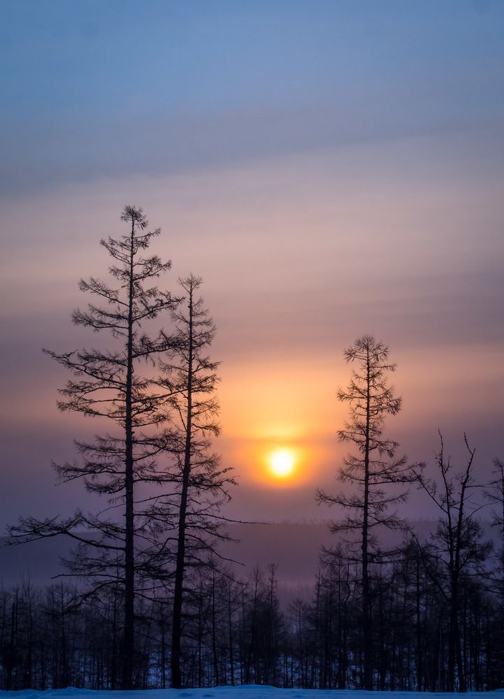 Photograph by 