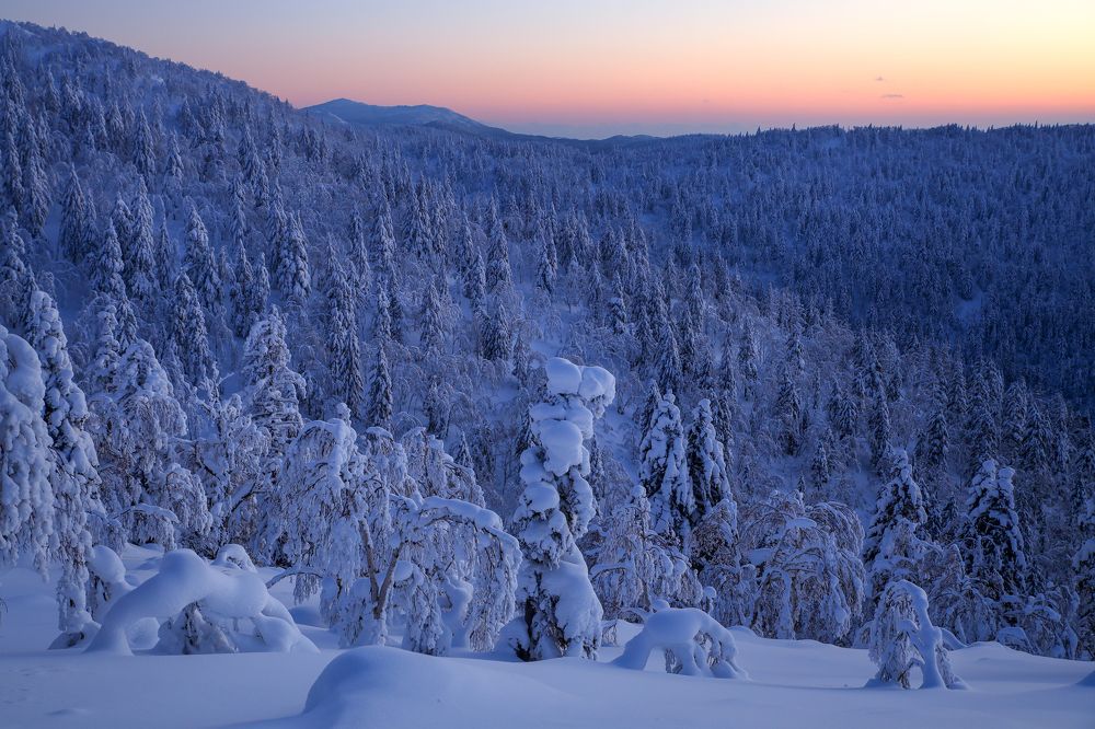 Таежные сумерки