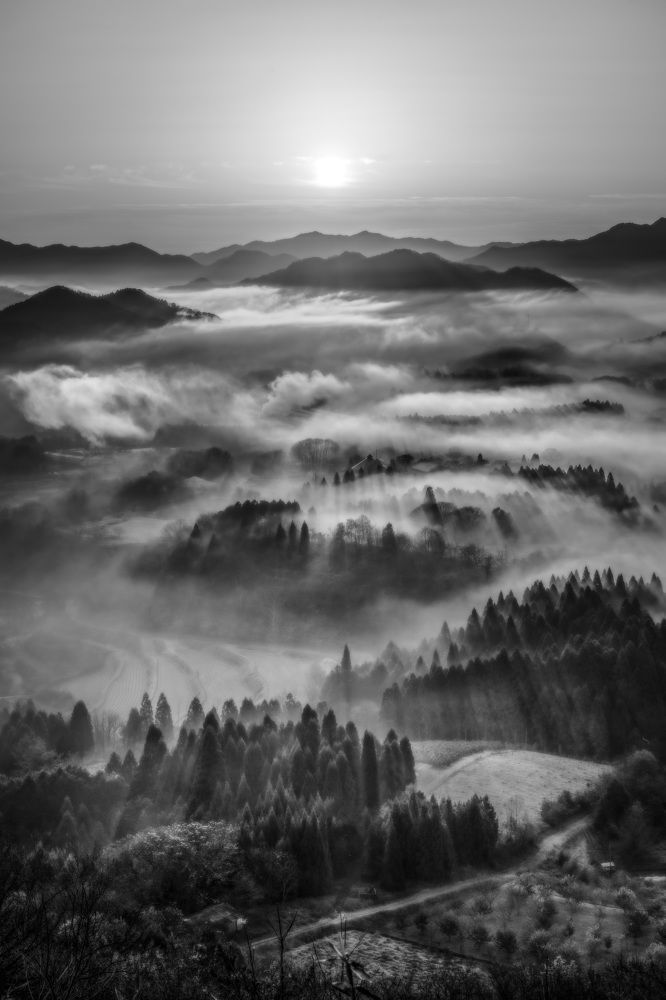 Photograph by Matsubara Hiroki