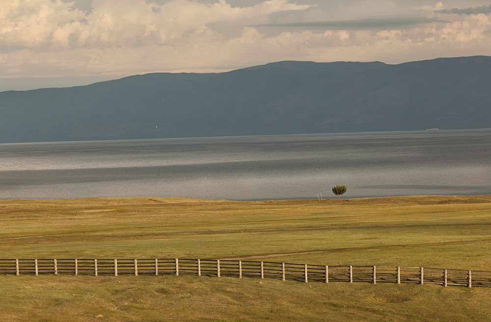 Фотография автора Лариса Кисурина