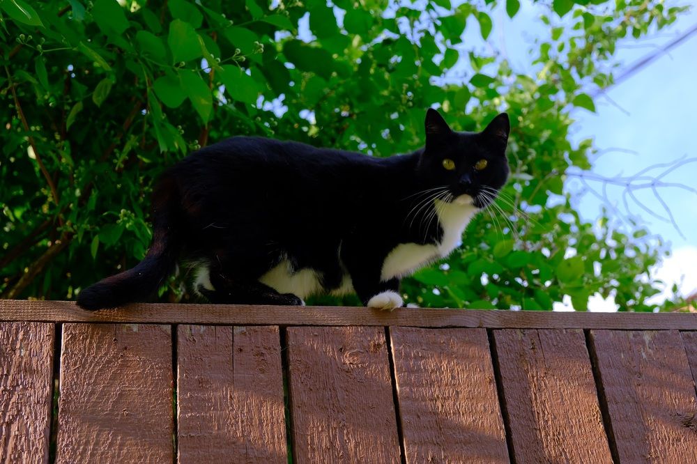 Photograph by Марина Душевина