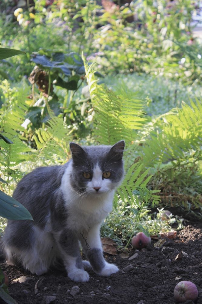 Photograph by Марина Душевина