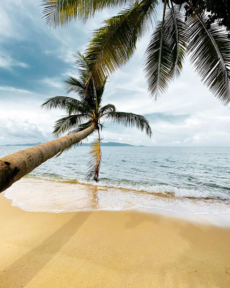 Photograph by Evgeniy Maymin