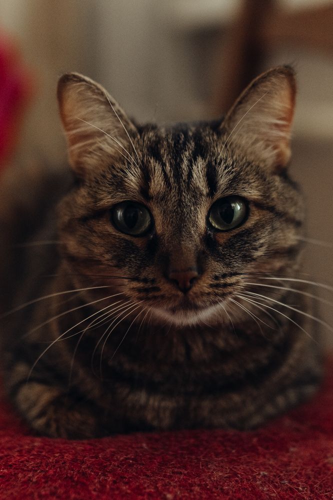 Photograph by Светлана Окладникова