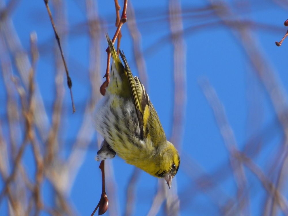 Photograph by Алексей Исаченко