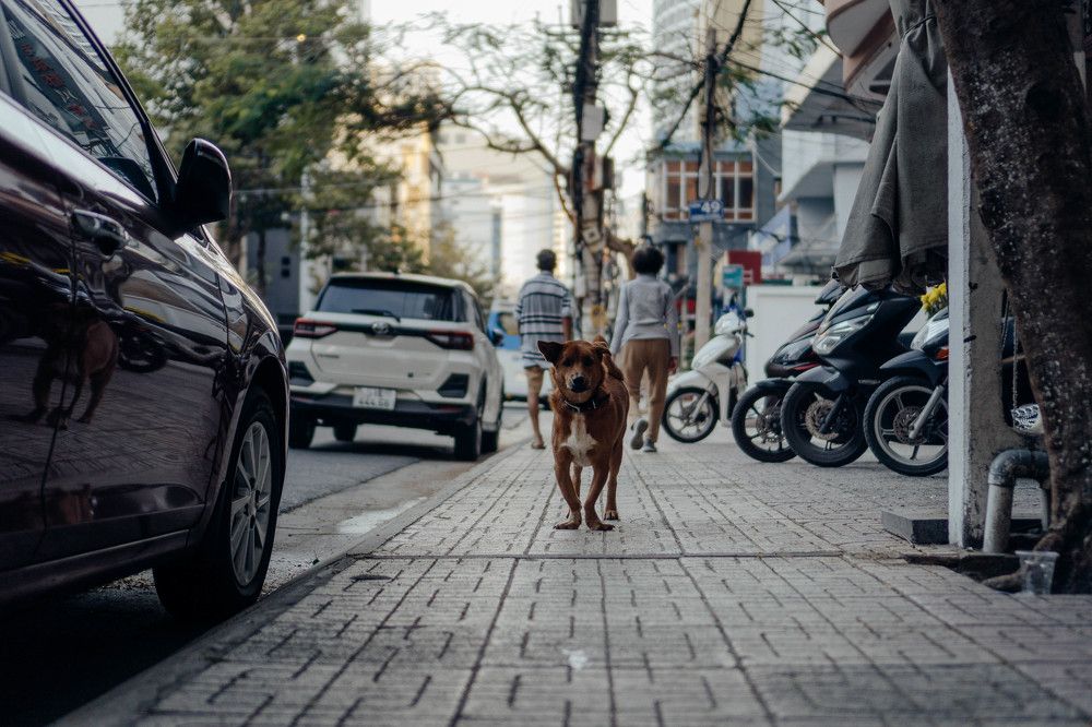 Photograph by Евгения Кушковская