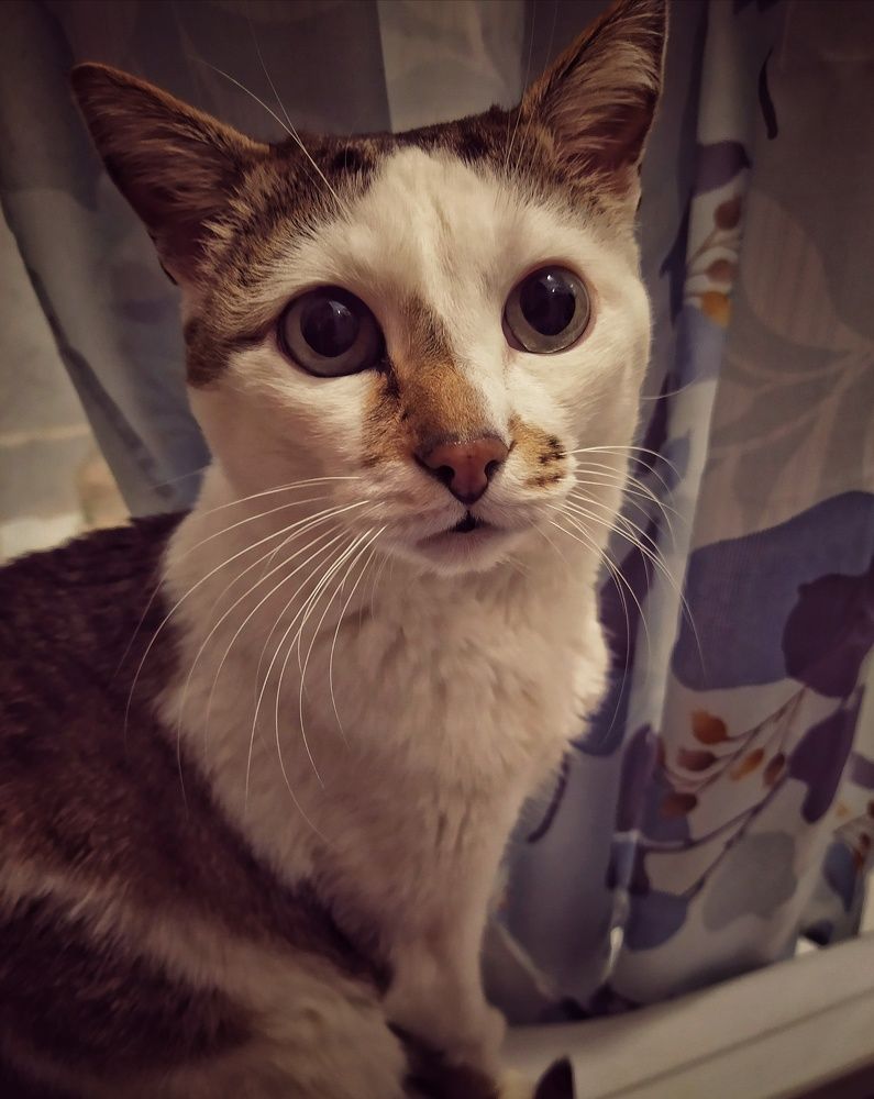 Photograph by Kanat Amre