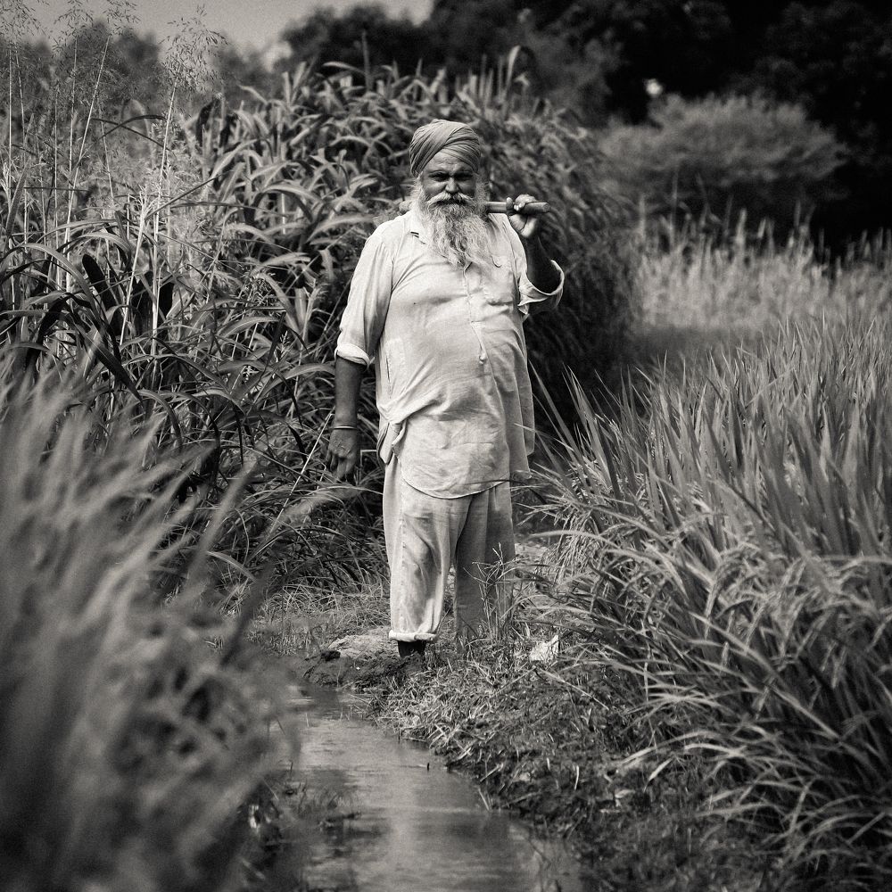 Photograph by RITVIK BHARDWAJ