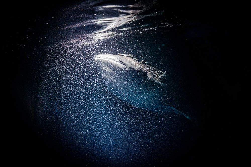 Photograph by Nadya Kulagina