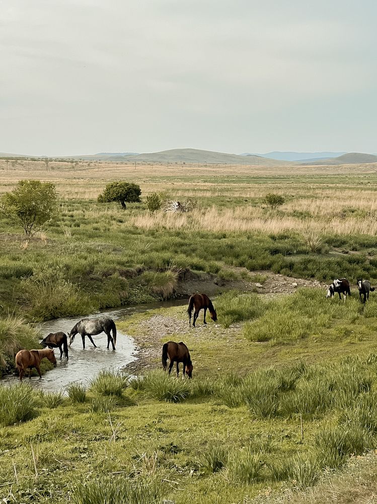 Photograph by Кристина Гудименко