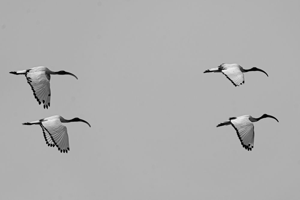 Фотография автора Prejul Prakash