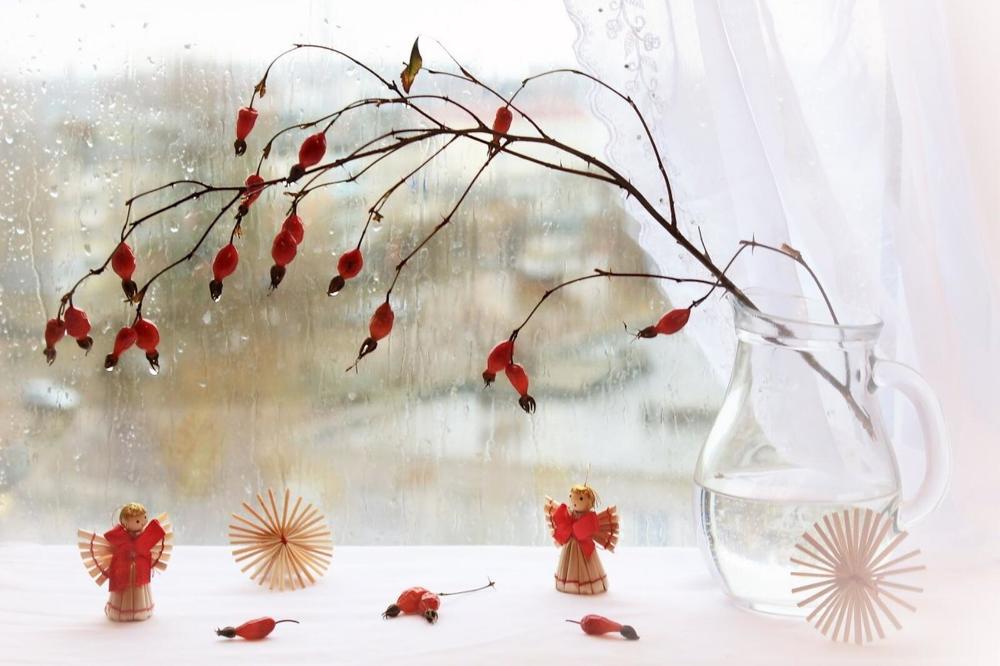 Photograph by Надежда Батракова