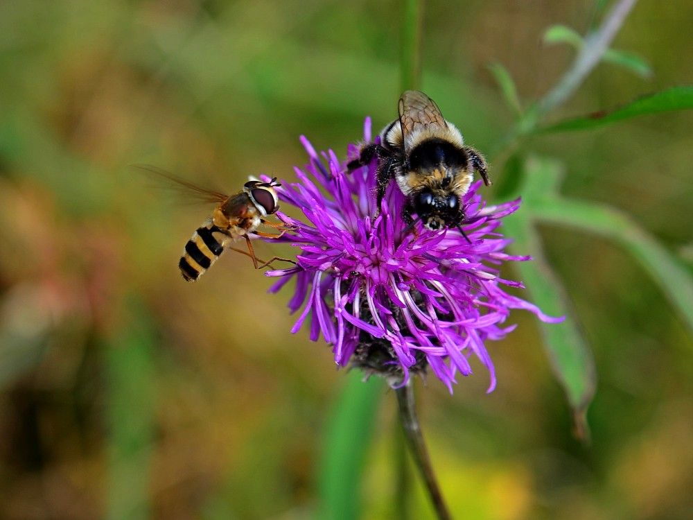 Photograph by Людмила