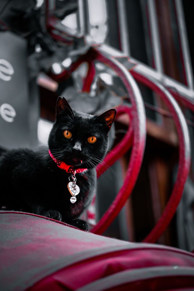 Photograph by Ardalan Hamedani