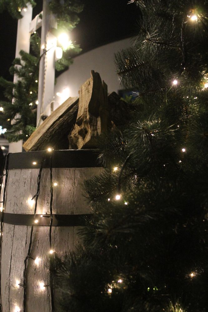 Photograph by Маргарита Матвеева