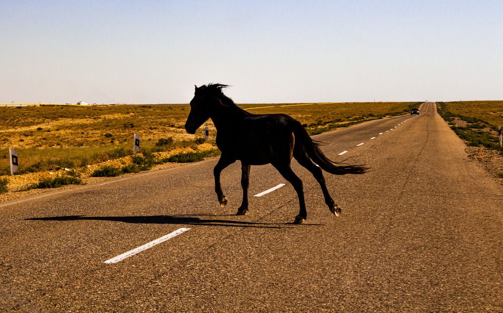 Photograph by Артем Архипов