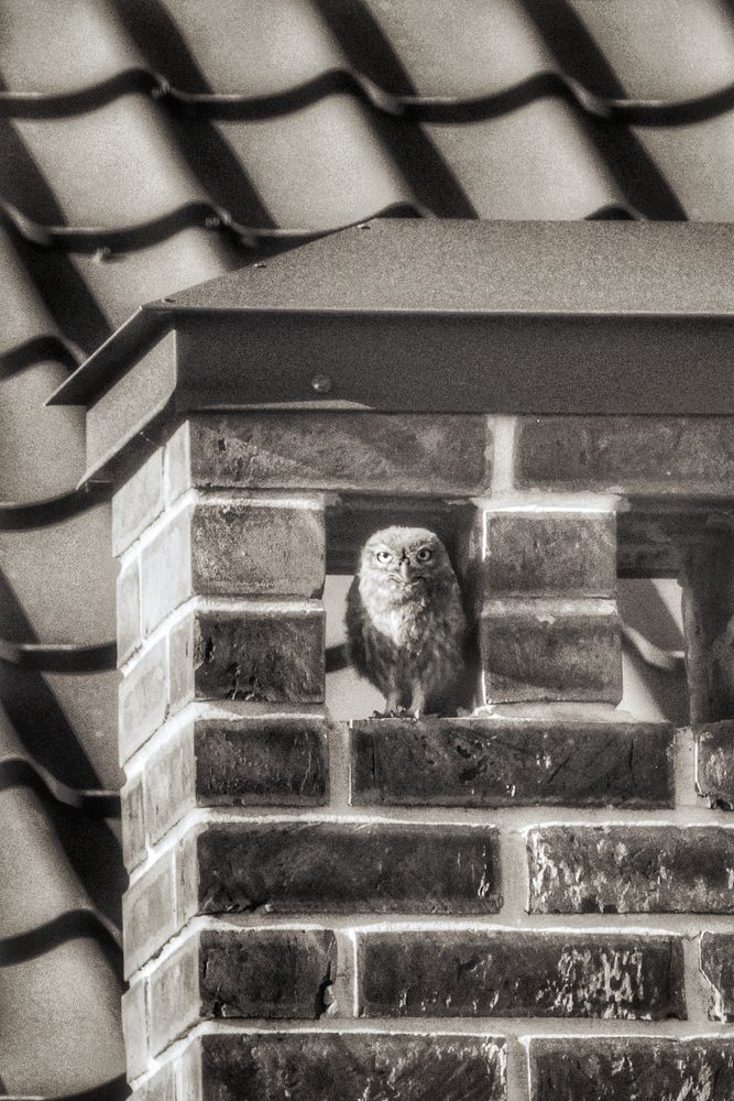 Photograph by Алексей Кроль