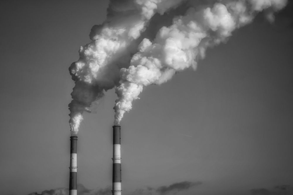 Photograph by Алена