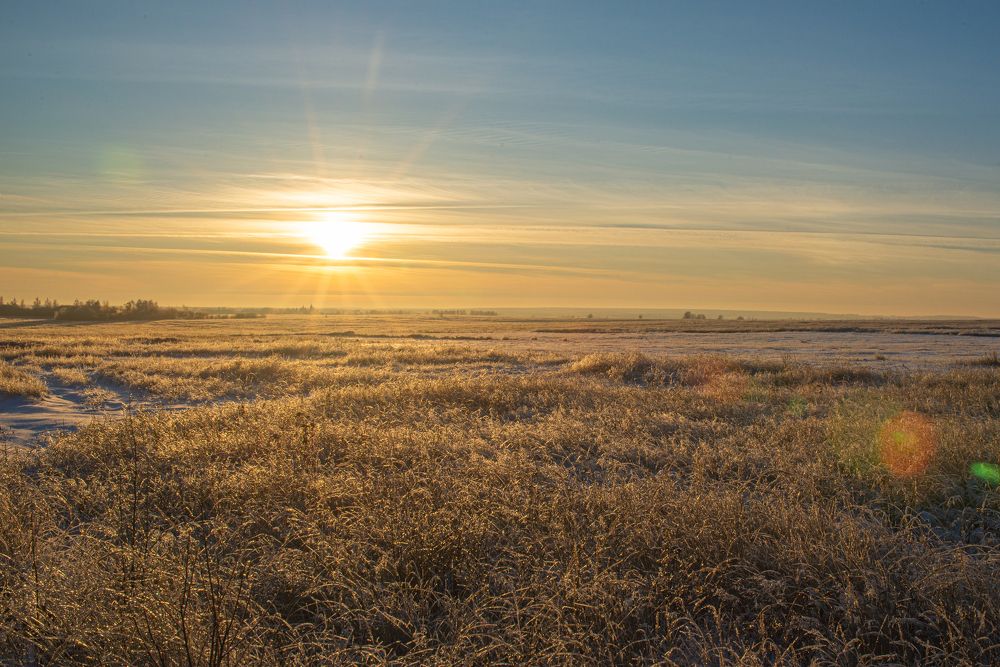 Photograph by Dmitriy Mostovoy