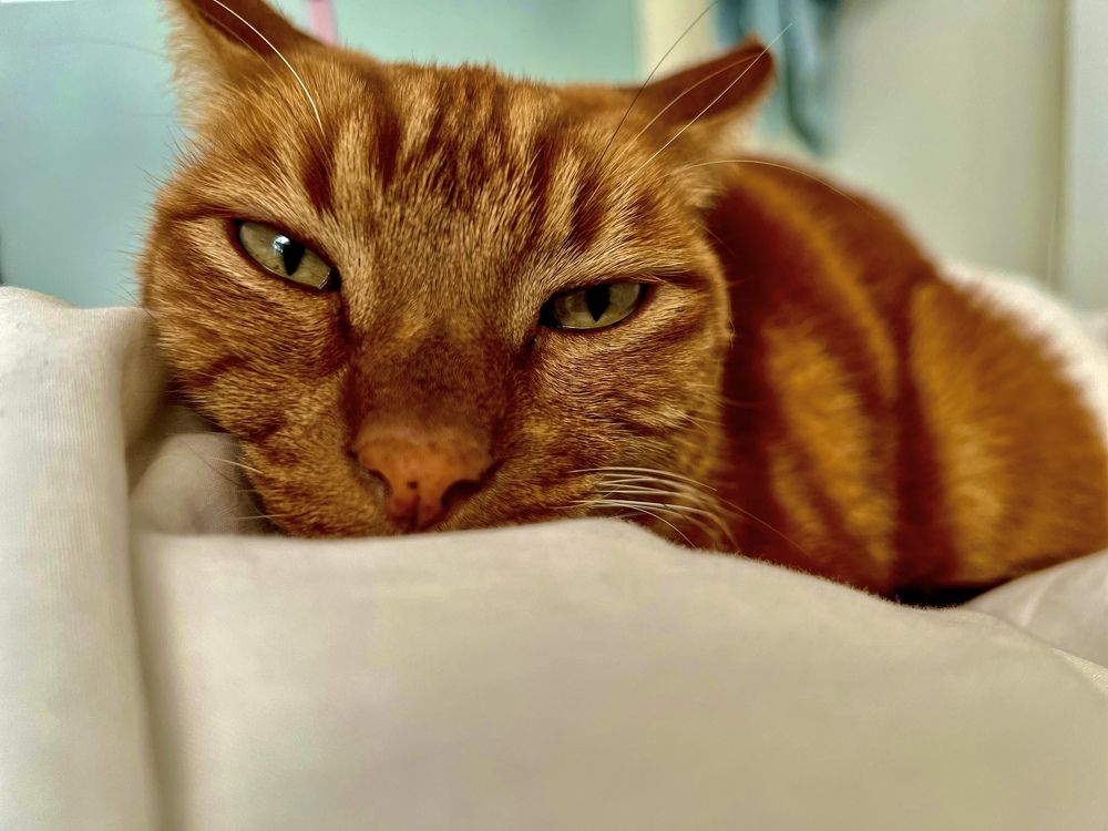 Photograph by Shannon