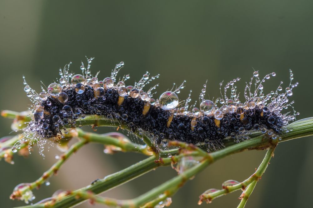 Photograph by Роман Зайцев