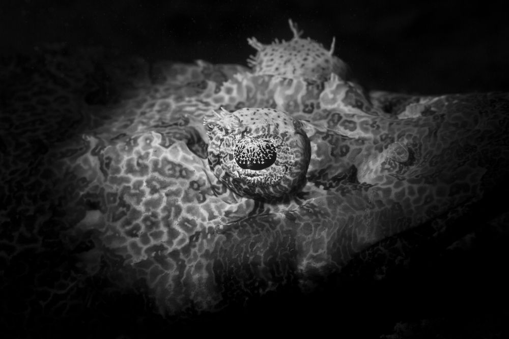 Photograph by Wai Hoe Mok