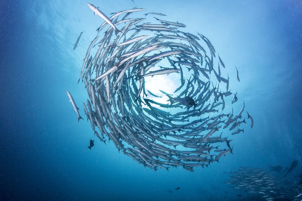 Photograph by Wai Hoe Mok