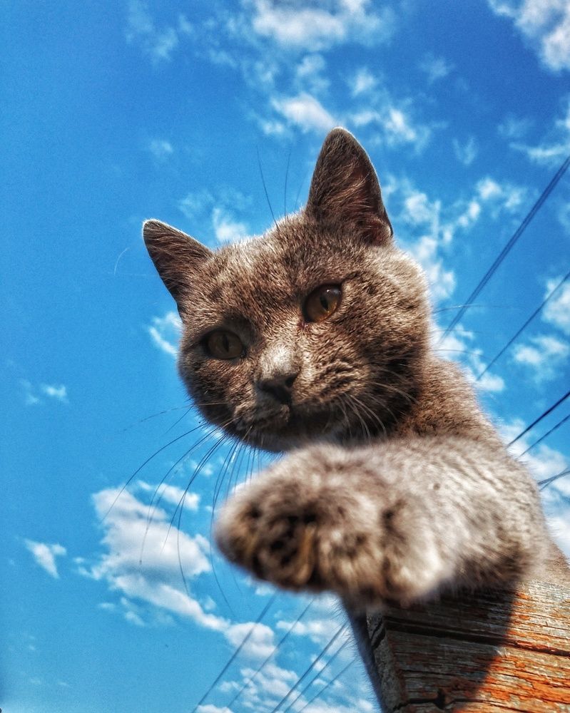 Photograph by Светлана Голик