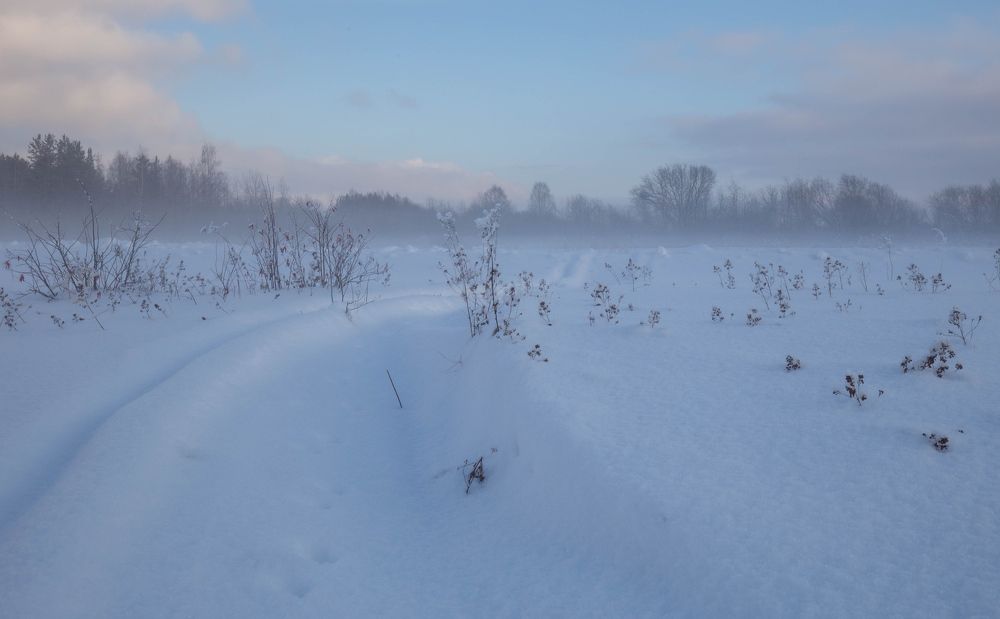 Photograph by Елена Хорохорина