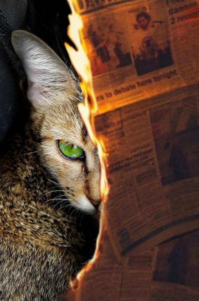 Photograph by hoang kuno