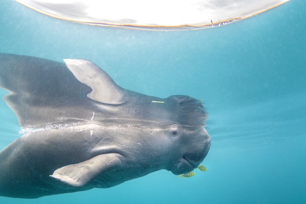 Photograph by Wai Hoe Mok