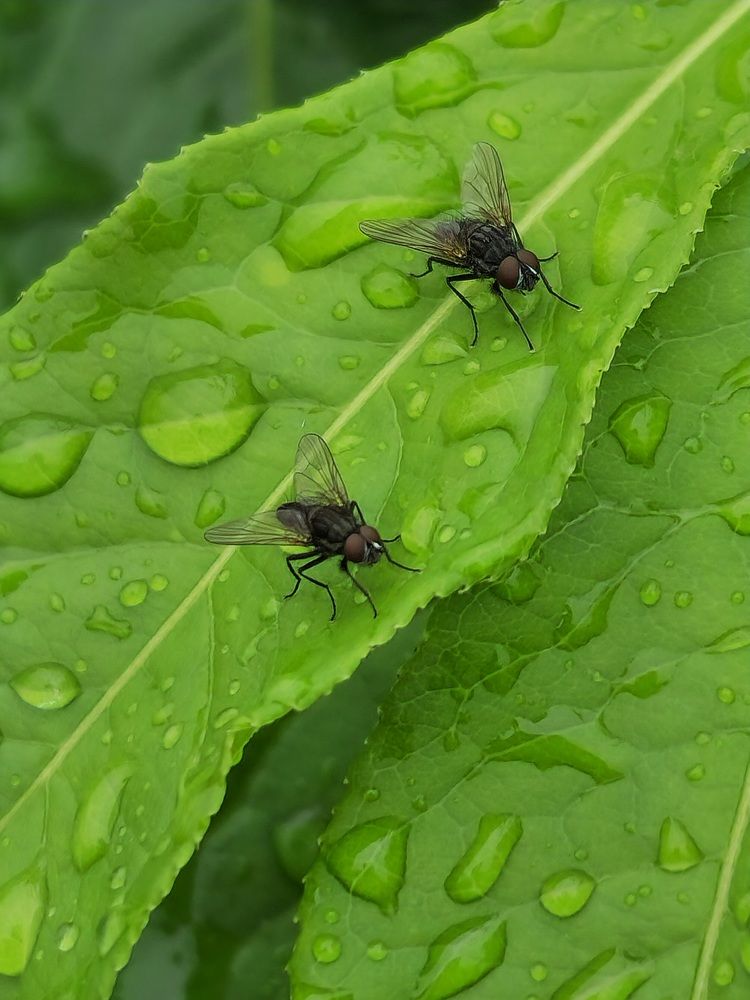 Фотография автора Ольга